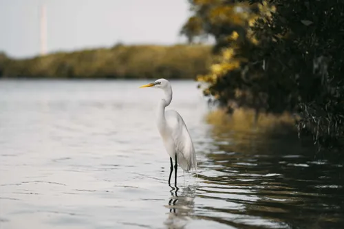 Tarpon Springs scenery