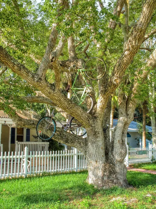 Tarpon Springs downtown
