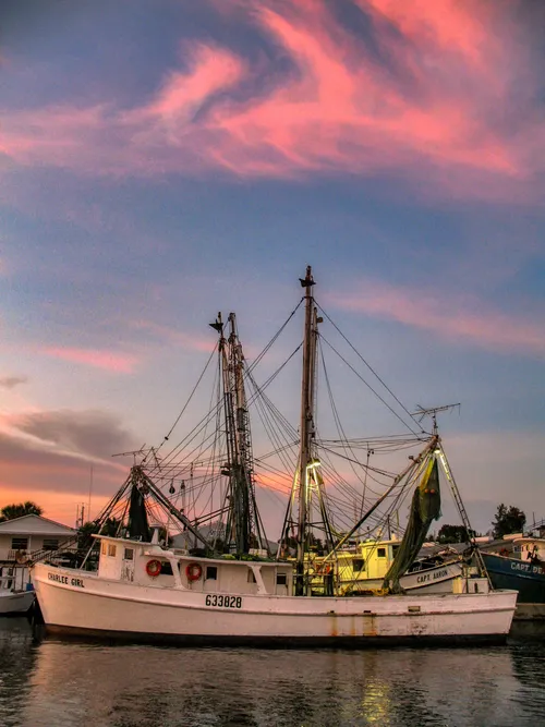 Tarpon Springs sponge docks