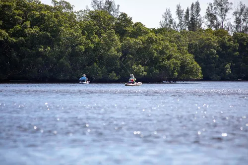 Florida wetlands